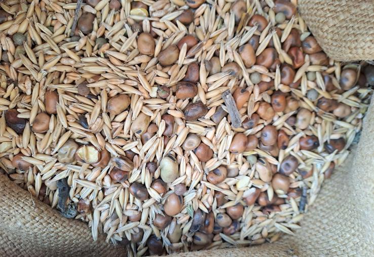 En agriculture conventionnelle, rechercher l'autonomie alimentaire n'est pas toujours payant.